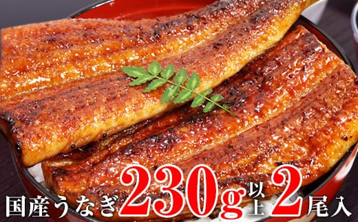 【数量限定】超特大サイズ国産うなぎ蒲焼き2本セット （230～249g×2本）(A632-3) 