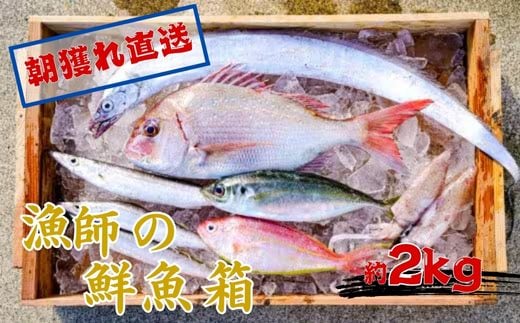漁師の鮮魚箱（約2kg）(A669-2)