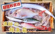 漁師の鮮魚箱（約2kg）(A669-2)