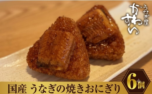 国産うなぎの焼きおにぎり６個セット(A881-2)