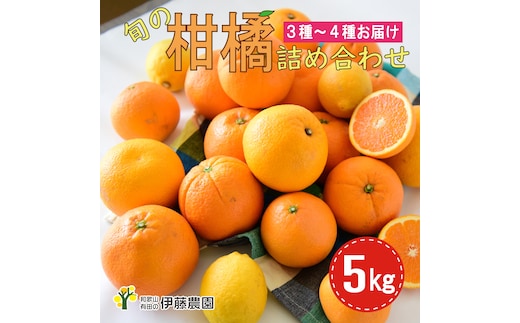 特選 旬の柑橘詰め合わせ 5kg（A882-5）