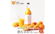 【早和果樹園】飲むみかん（720ml×6本）（A949-2）