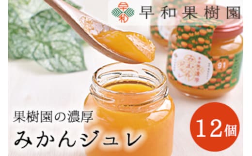 【早和果樹園】濃厚みかんジュレ（12個入）（A953-2）