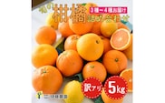 訳アリ 旬のかんきつ詰め合わせ 5kg(A974-4)