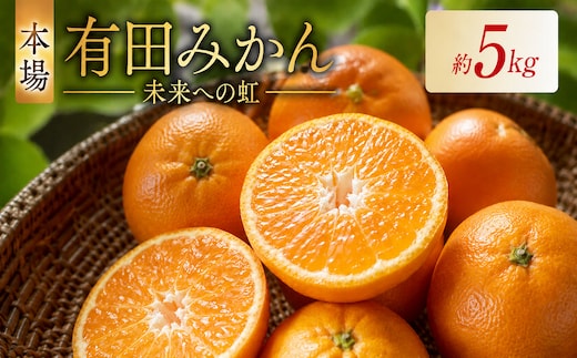 有田みかん「未来への虹」（5kg）(A973-2)