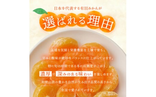 有田みかん「未来への虹」（5kg）(A973-2) | dショッピングふるさと