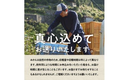 有田みかん「未来への虹」（5kg）(A973-2) | dショッピングふるさと