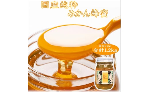 【0438-5】紀州のみかん蜜セット600g×2本