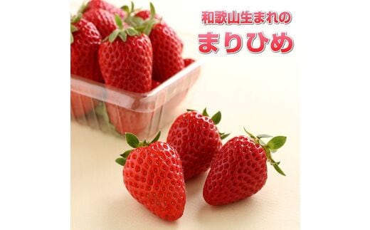和歌山生まれのイチゴ（まりひめ）大粒2パック12月発送分《先行予約》【0049-4】