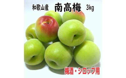 【1088-4】青梅（生梅）紀州南高梅 3kg 梅酒用・梅シロップ用《先行予約》