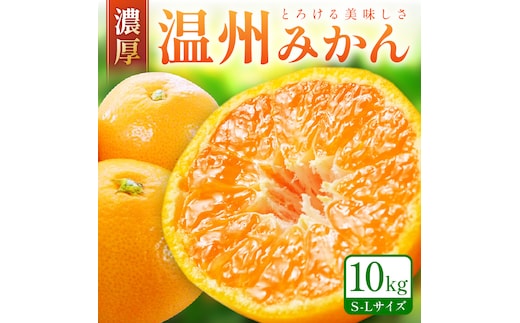 【0059-3】「濃厚な味のとろける美味しさ」温州みかん 10kg《先行予約》