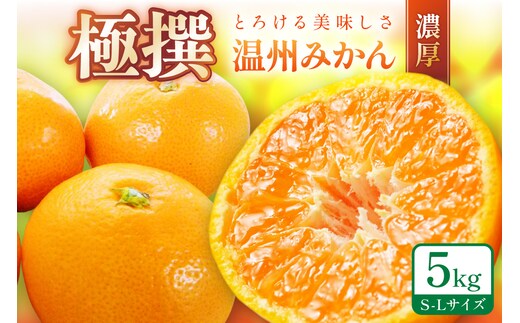 「濃厚な味のとろける美味しさ」温州みかん 5kg《先行予約》【0057-4】