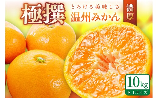 「濃厚な味のとろける美味しさ」温州みかん 10kg《先行予約》【0059-3】