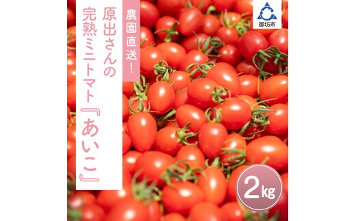 【0233-2】農園直送！原出さんの完熟ミニトマト（あいこ）2kg