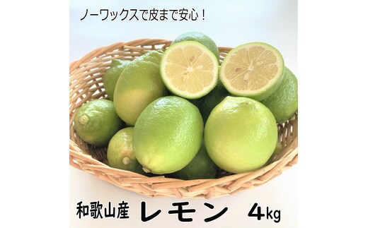和歌山産レモン/グリーンレモン 4kg【国産レモン】《先行予約》【1012-3】