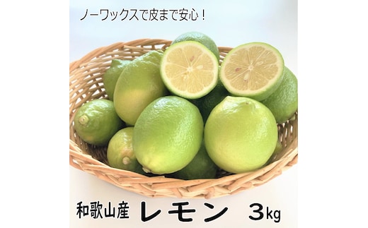 和歌山産レモン/グリーンレモン 3kg 【国産レモン】《先行予約》【1013-3】