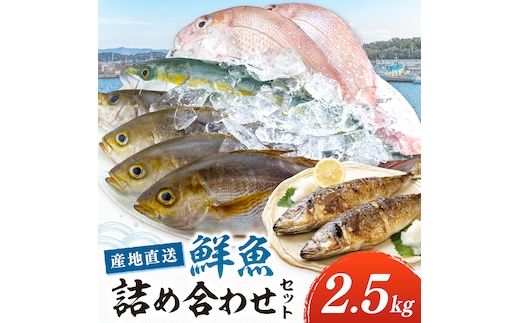 【0007-3】御坊産 鮮魚セット2.5kg【配送不可地域】沖縄・北海道・東北・九州