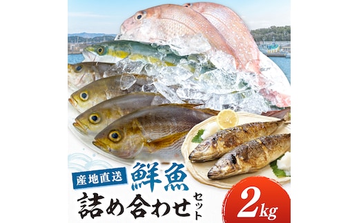 御坊産 鮮魚セット2kg【配送不可地域】沖縄・北海道・東北・九州【0007-4】
