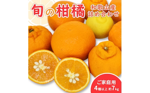 【1142-3】柑橘詰め合わせセット 家庭用４種以上 約7kg 和歌山産≪先行予約2026年1月下旬頃より順次発送分≫
