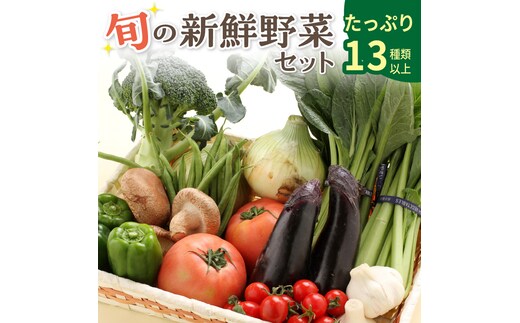 【0054-2】旬の新鮮野菜セットたっぷり13種以上