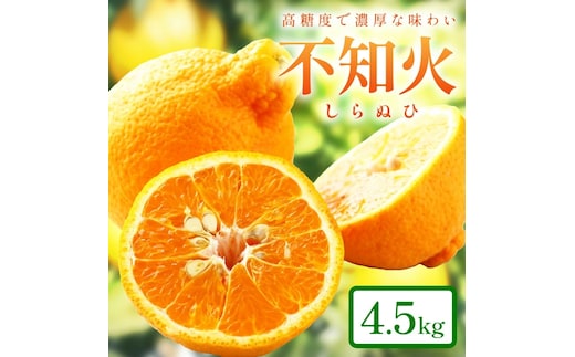 【0051-3】和歌山産 しらぬひ【デコポン】約4.5kg 濃厚春みかん≪2026年2月下旬頃より順次発送分≫