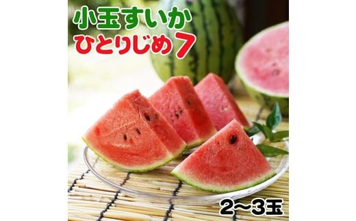 和歌山産小玉すいか ひとりじめ7(2～3玉)≪先行予約2027年5月下旬頃から順次発送予定≫【0140-4】