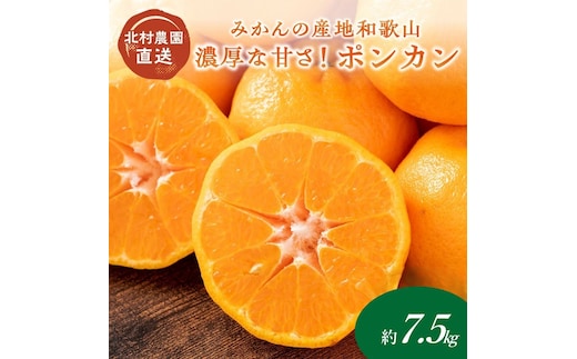 【1055-3】濃厚な甘さ！ポンカン7.5kg《先行予約》