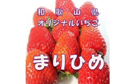 【0203-3】和歌山県オリジナルいちご「まりひめ」【配送不可地域：北海道・青森・秋田・岩手・沖縄】