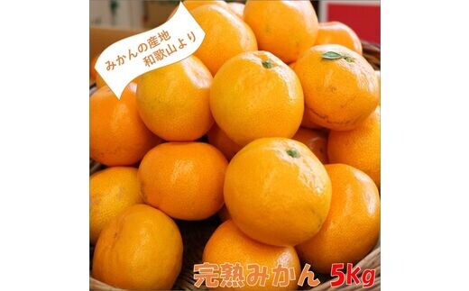 【0204-3】和歌山の完熟みかん5kg 紀州日高地方からお届けします!≪先行予約≫