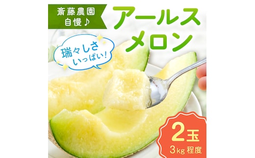 【0249-4】斎藤農園のアールスメロン(マスクメロン)2玉3kg程度≪先行予約2026年6月下旬以降発送予定≫