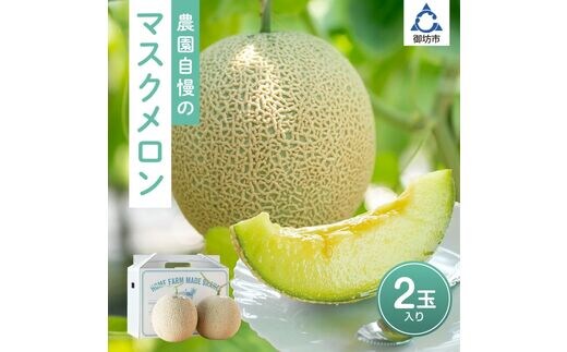 農園自慢の『マスクメロン』（アールスメロン）×2玉入り《先行予約》2027年6月下旬から順次発送【0263-5】