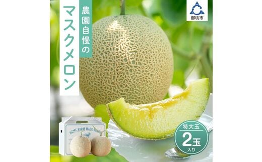 農園自慢の『マスクメロン』（アールスメロン）特大玉×2玉入り《先行予約》2027年6月下旬から順次発送【配送不可地域：北海道・青森・秋田・岩手・沖縄・離島】【0265-5】