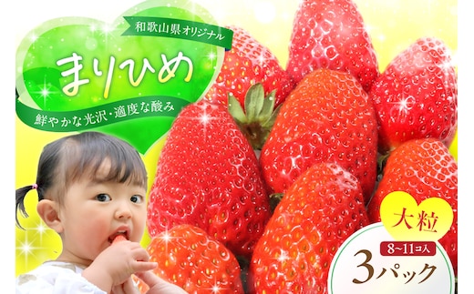 【0203-3】和歌山県オリジナルいちご「まりひめ」【配送不可地域：北海道・青森・秋田・岩手・沖縄】