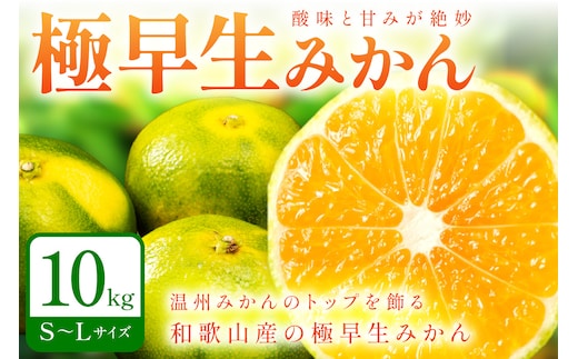 【0258-5】極早生みかん 10kg 和歌山産