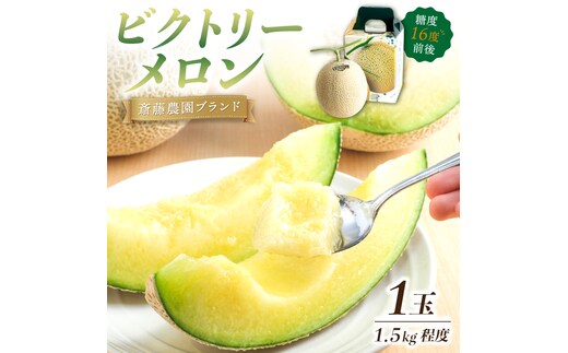【0247-4】斎藤農園ブランド「ビクトリーメロン」アールスメロン(マスクメロン)1玉 1.5kg程度≪先行予約2026年6月下旬以降発送分≫