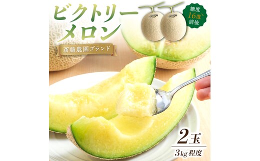 【0248-2】斎藤農園ブランド「ビクトリーメロン」アールスメロン(マスクメロン)2玉3kg程度≪先行予約2026年6月下旬以降発送分≫
