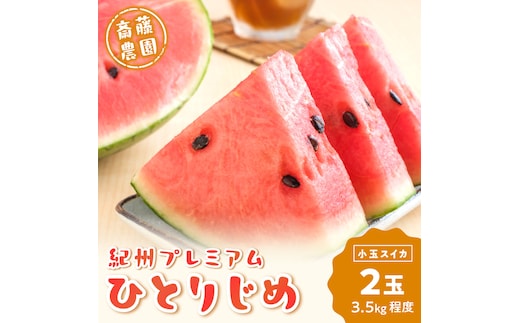 【0251-4】紀州プレミアムひとりじめ(小玉スイカ) 2玉3.5kg程度≪先行予約2026年6月初旬以降発送予定≫
