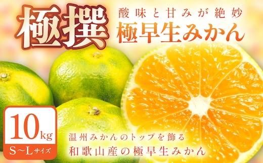 極早生みかん 10kg 和歌山産【0258-5】
