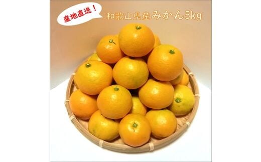 【0336-4】みかんの産地和歌山日高地方からお届け!みかん 5kg《先行予約》2026年11月頃から順次発送予定