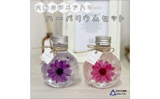 【0369-3】コロンと可愛いボトルに大輪のジニア入りハーバリウムセット