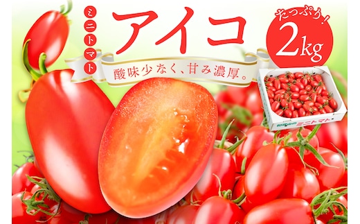 【0377-4】ミニトマト（アイコ）2kg《先行予約》2027年1月上旬より順次発送