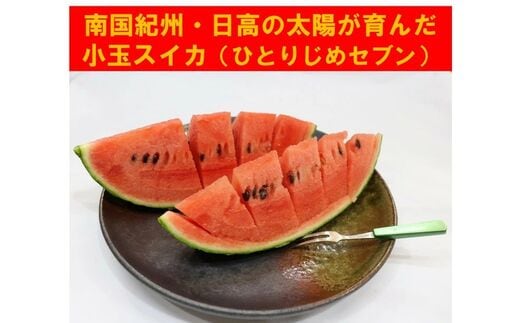 南国紀州・日高の太陽が育んだ小玉スイカ(ひとりじめセブン)《先行予約》【0412-4】
