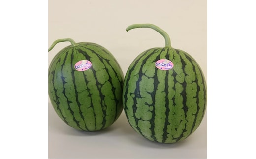 【0415-5】和歌山県産小玉すいか ひとりじめ L～2L寸（2玉約4～5kg）