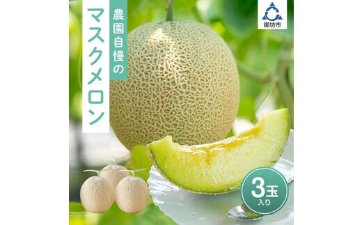 農園自慢の「マスクメロン」×3玉入り《先行予約》2027年6月下旬から順次発送【配送不可地域：北海道・青森・秋田・岩手・沖縄・離島】【0550-5】