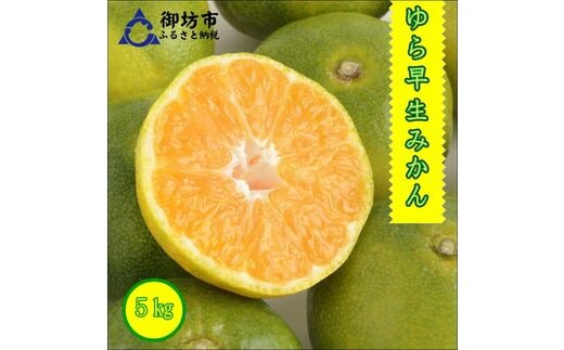 【0552-3】御坊市・日高川町・由良町産 ゆら早生みかん（ゆらっ子）5kg《先行予約》