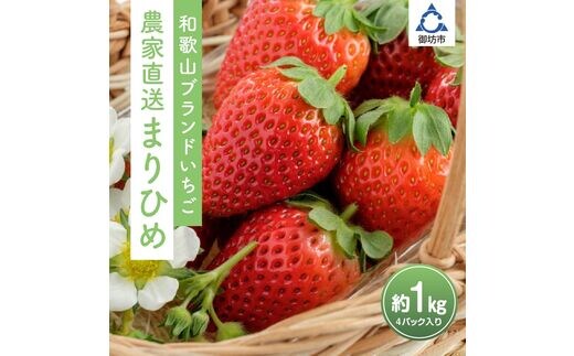 【0566-4】まりひめ4パック入り1kg「和歌山ブランドいちご」農家直送【配送不可地域：北海道・青森・秋田・岩手・沖縄】