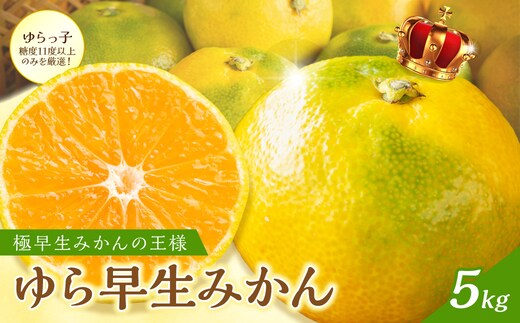 御坊市・日高川町・由良町産 ゆら早生みかん（ゆらっ子）5kg《先行予約》【0552-3】