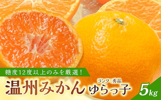 御坊市・日高川町・由良町産 温州みかん（ゆらっ子）5kg《先行予約》【0553-3】
