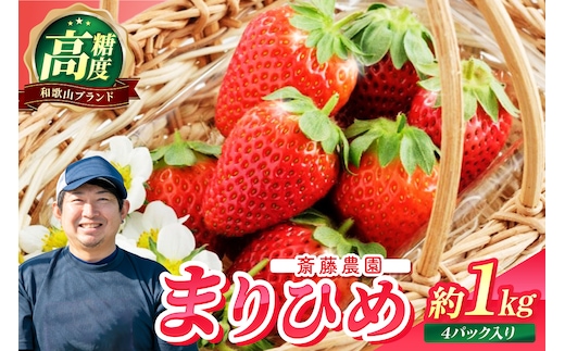 【0566-4】まりひめ4パック入り約1kg「和歌山ブランドいちご」農家直送【配送不可地域：北海道・青森・秋田・岩手・沖縄】