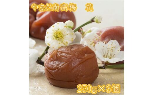 【0744-5】やまだ南高梅 花（250ｇ×３個）